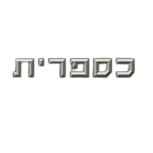 לוגו כספרית- לקוח SEO